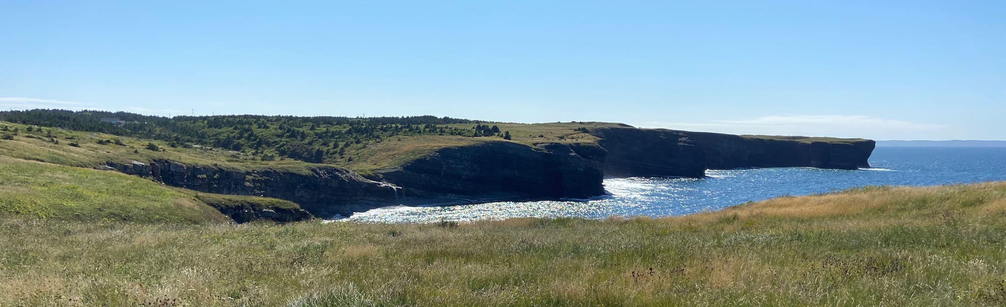 Bell Island Grebes Nest to Lighthouse 16 Reviews, Map Newfoundland