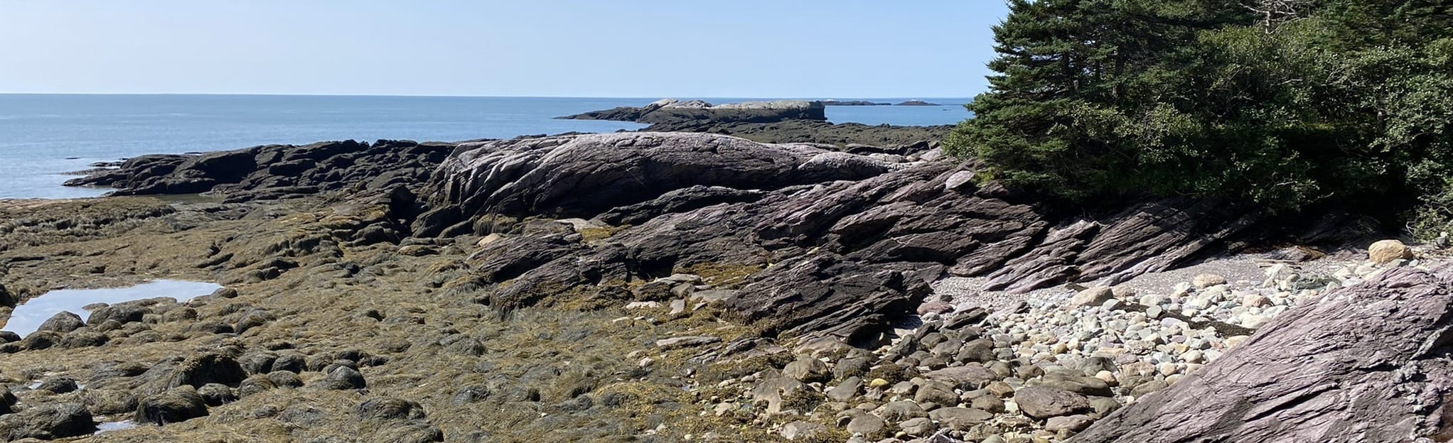 Belding's Reef Trail, New Brunswick, Canada 45 Reviews, Map AllTrails