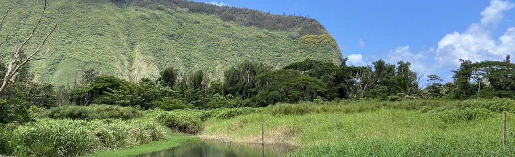 Muliwai and Waimanu Valley Trail [CLOSED]: 278 Reviews, Map - Hawaii,  Hawaii | AllTrails