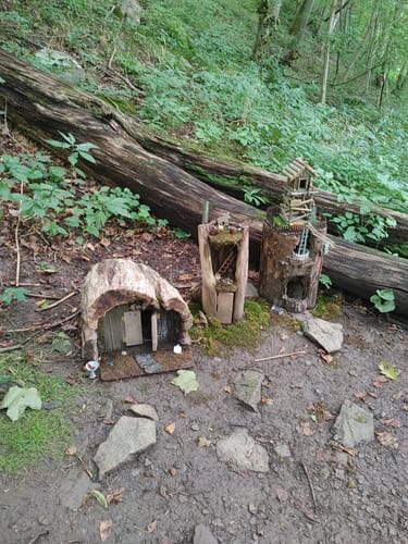 Photos Of M D Marker Trail West Virginia Alltrails