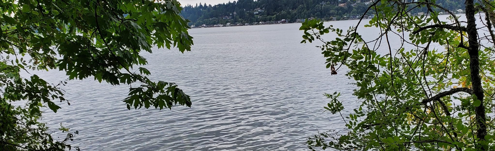 Lake Washington Watertower, South Ridge, Beach and North Trail Loop ...