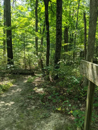 Best 10 Hikes And Trails In Hoosier National Forest Alltrails 9585