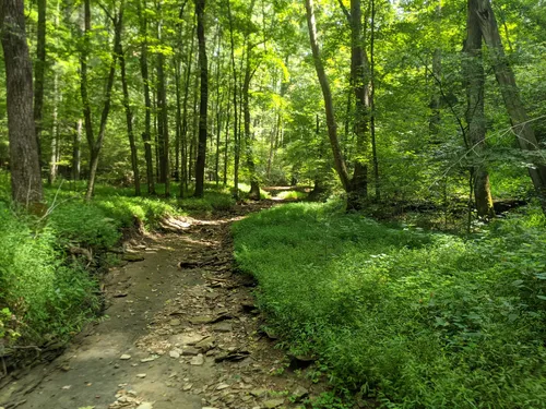 Hoosier national forest store hiking