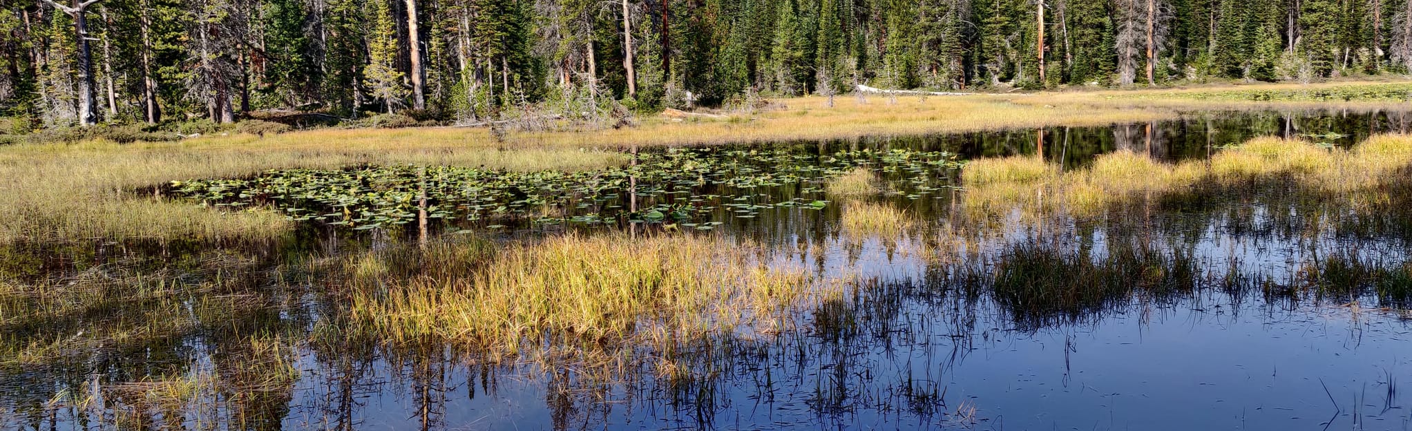 Wall Lake Trail, Utah 443 Reviews, Map AllTrails