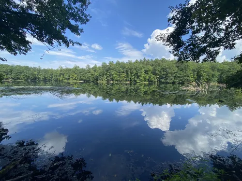 Best Hikes and Trails in Chenango Valley State Park | AllTrails