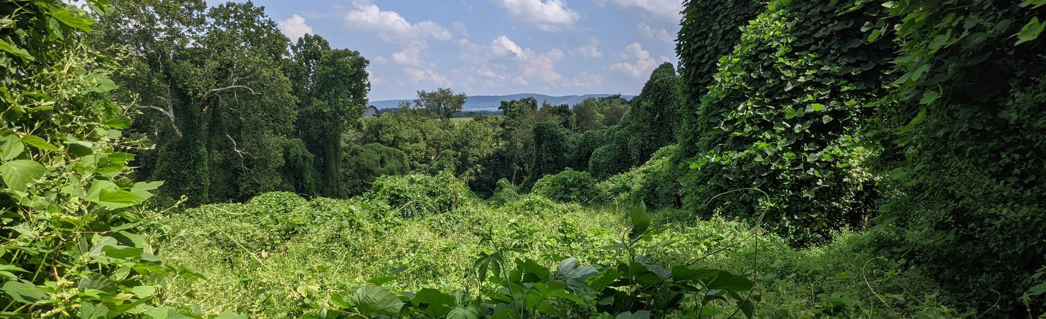 River's Edge Trail Mapa, Roteiro Maryland AllTrails