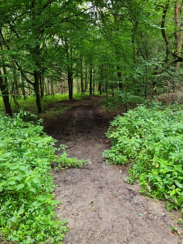 Rundweg bei Michelbach