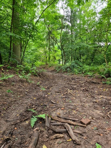 Rundweg bei Michelbach