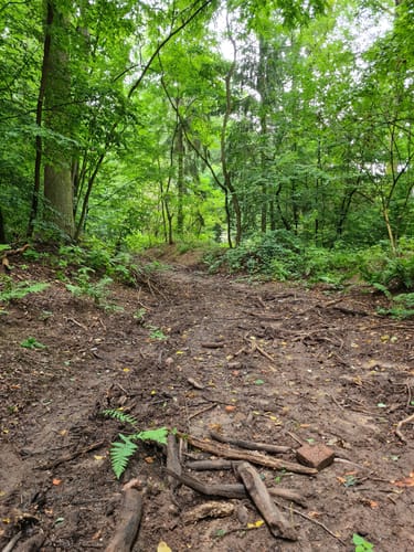 Rundweg bei Michelbach
