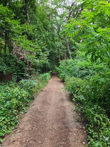 Rundweg bei Michelbach