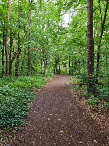 Rundweg bei Michelbach
