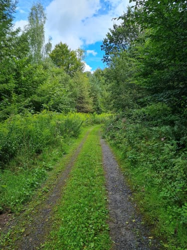 Niedersteinbach - Dörnsteinbach - Brücken
