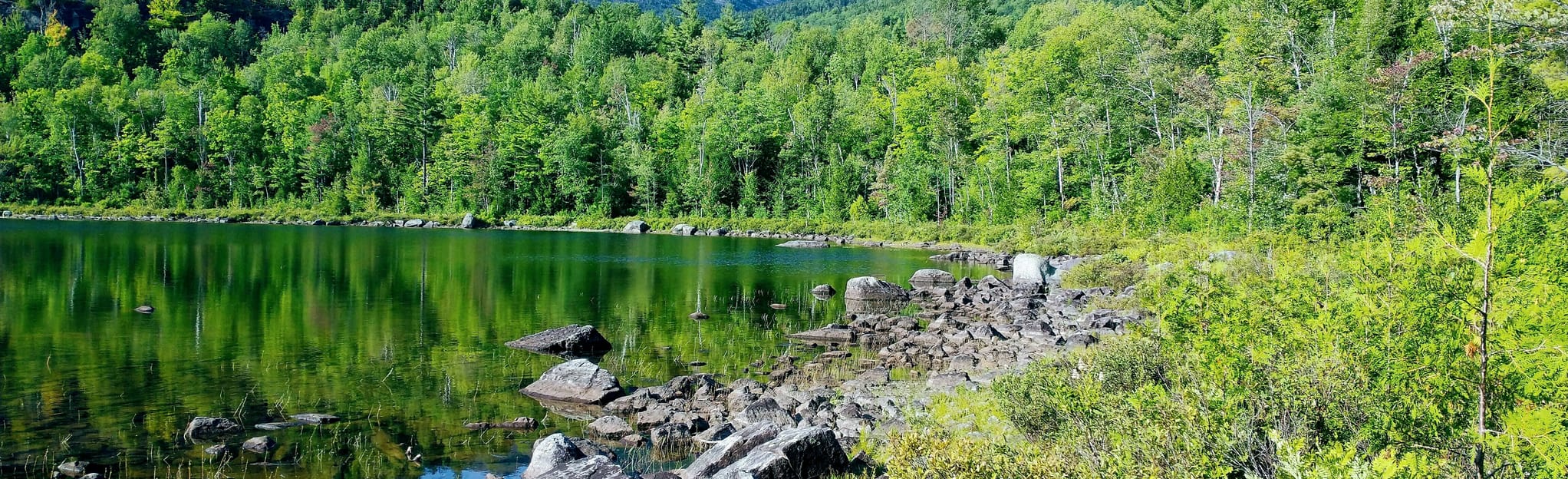 Round Pond via Dix Trail 47 Reviews, Map New York AllTrails