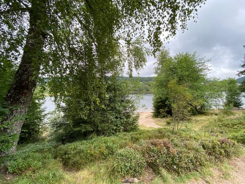 Schluchsee Rundweg