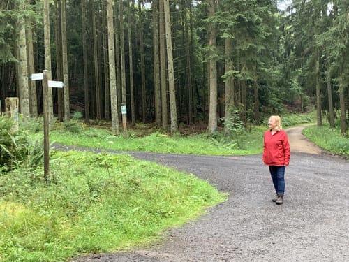 Runde in Königsfichte