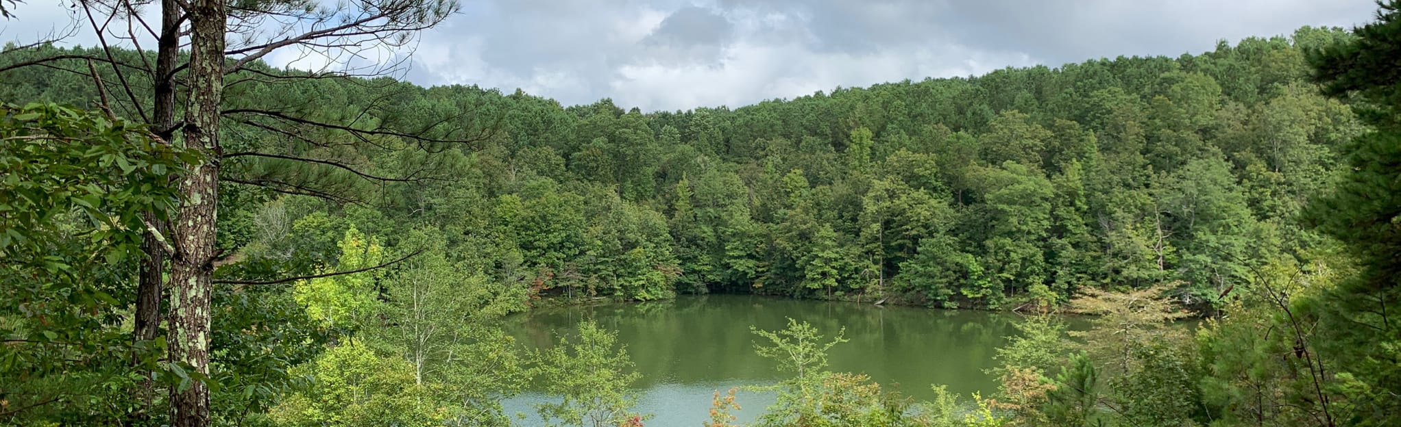 Neely Henry Lake 30 Reviews, Map Alabama AllTrails