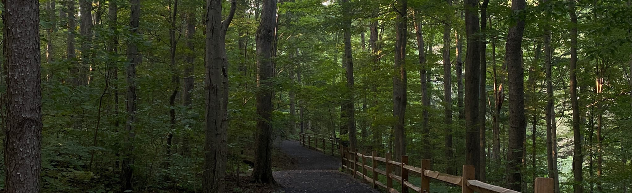 Buttermilk Falls Trail 190 Reviews, Map Pennsylvania AllTrails