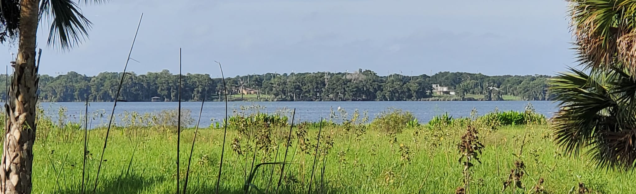 Lake Jesup Loop Trail [CLOSED], Florida 114 Reviews, Map AllTrails