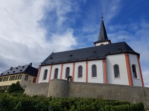 Von Hochheim zur Flörsheimer Warte