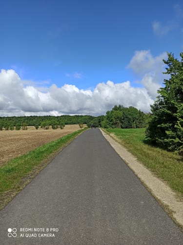 Rundwanderweg Weende – Tour blaues Quadrat