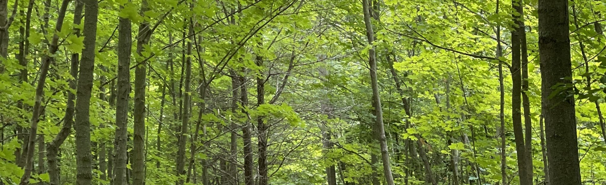 Proctor Park Conservation Area 176 Reviews, Map Ontario, Canada