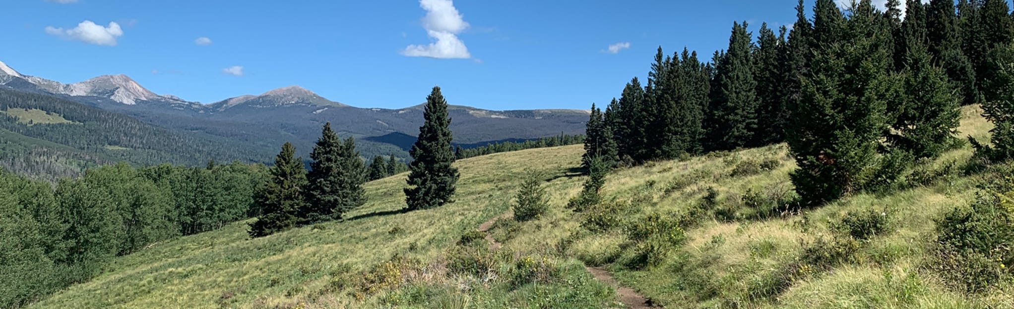 Hamilton Mesa via Iron Gate Campground, New Mexico 72 Reviews, Map