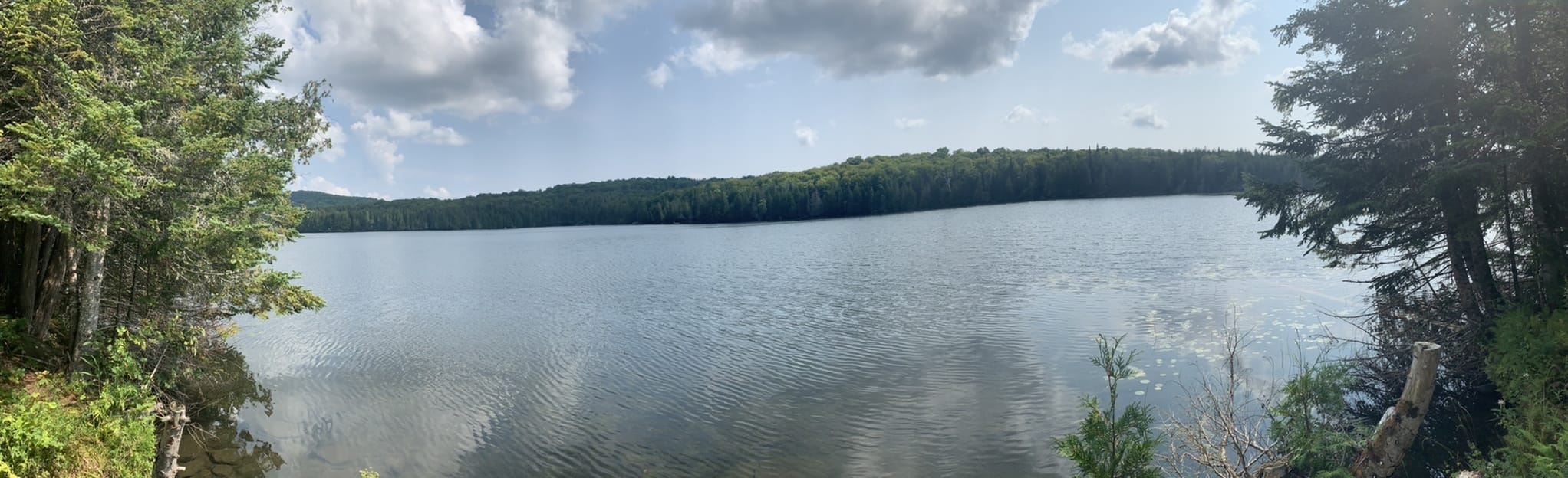 Long Pond Road 10 Reviews, Map Vermont AllTrails