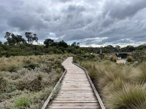 Best Hikes and Trails in Anderson Inlet Coastal Reserve | AllTrails