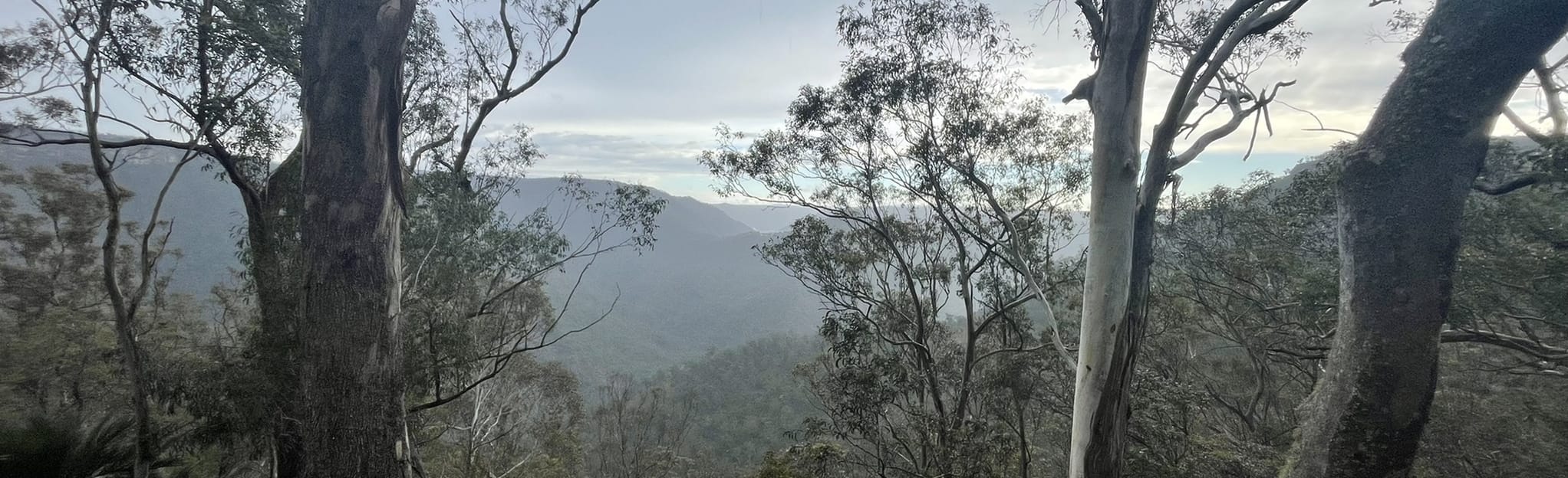 Badgerys Spur Track, New South Wales, Australia - 15 Reviews, Map ...