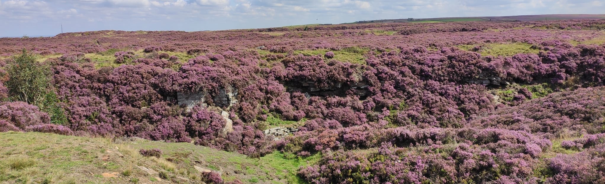 Harden Quarry Loop 25 foto's West Yorkshire, Engeland AllTrails