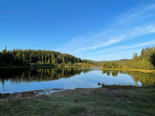 2023 Best 10 Trails and Hikes in Trondheim | AllTrails