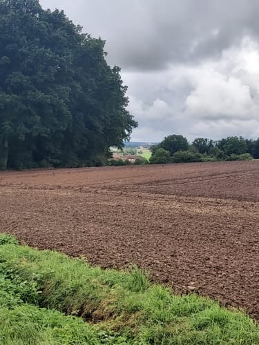 Schloss Weissenstein Tour