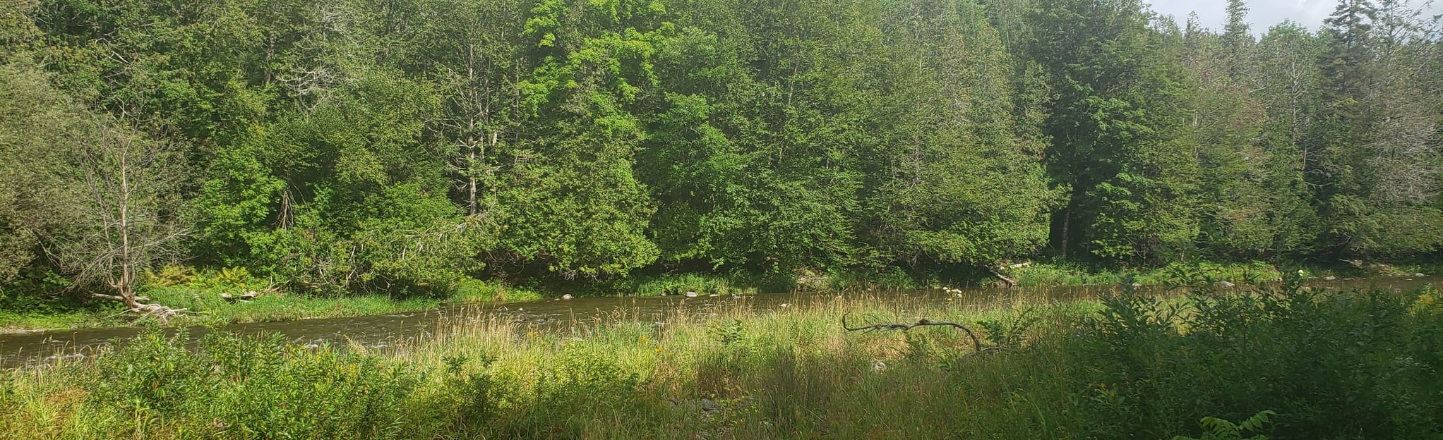 River Queen Loop 34 Fotos New Brunswick, Kanada AllTrails