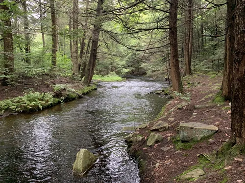 10 Best Hikes and Trails in Ricketts - EyJidWNrZXQiOiJhc3NldHMuYWxsdHJhaWxzLmNvbSIsImtleSI6InVwbG9hZHMvcGhvdG8vaW1hZ2UvMzk5NzUyMTgvNjAzMjZlNjM1ZjI4MDY0NzAyMDEwZWFmZWE5NzU3ZjAuanBnIiwiZWRpdHMiOnsidG9Gb3JtYXQiOiJ3ZWJwIiwicmVzaXplIjp7IndpZHRoIjo1MDAsImhlaWdodCI6NTAwLCJmaXQiOiJpbnNpZGUifSwicm90YXRlIjpudWxsLCJqcGVnIjp7InRyZWxsaXNRdWFudGlzYXRpb24iOnRydWUsIm92ZXJzaG9vdERlcmluZ2luZyI6dHJ1ZSwib3B0aW1pc2VTY2FucyI6dHJ1ZSwicXVhbnRpc2F0aW9uVGFibGUiOjN9fX0=