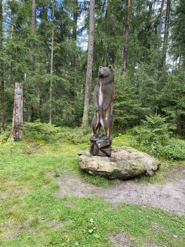 Erlebniswelt Waldnaabaue