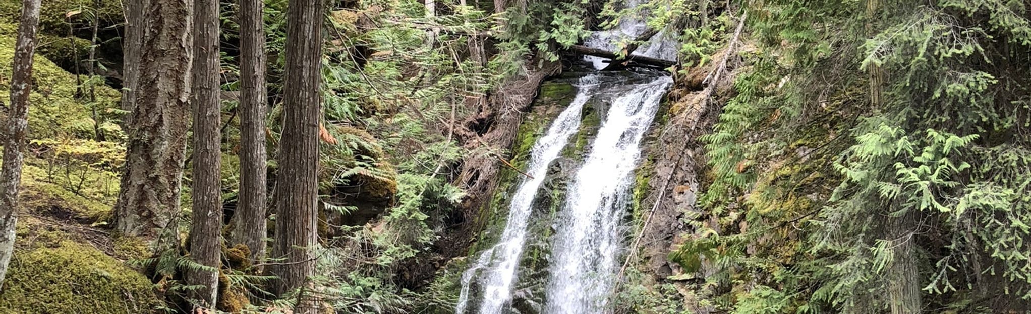 Fletcher Creek Falls 59 foto's BritsColumbia, Canada AllTrails