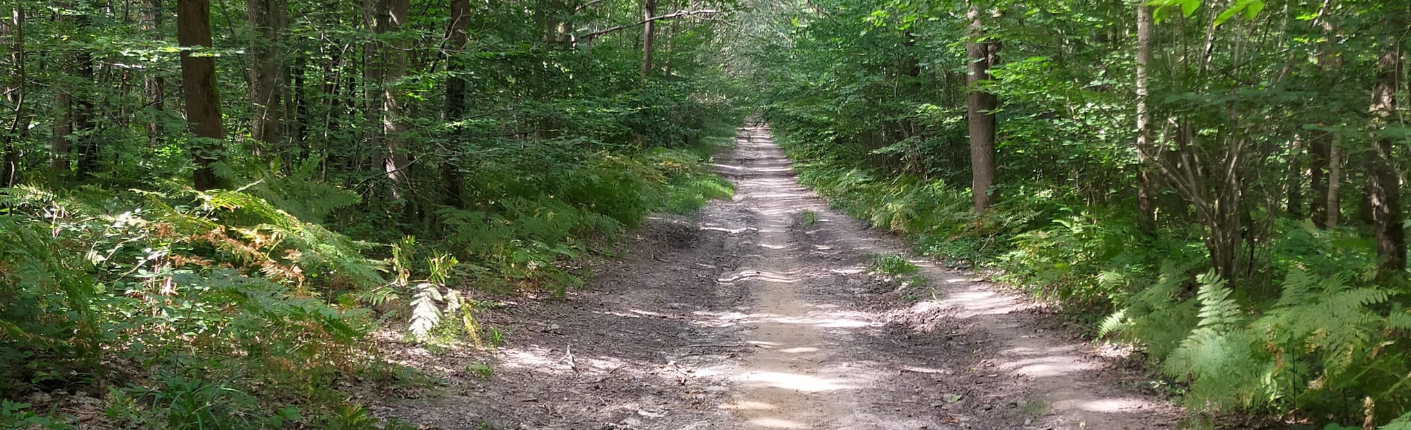 La Forêt de l'Isle-Adam via Montsoult : 133 Photos - Val-d'Oise, France ...