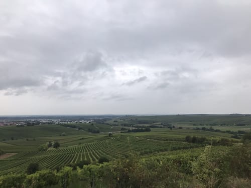 Kleiner Mainzer Höhenweg