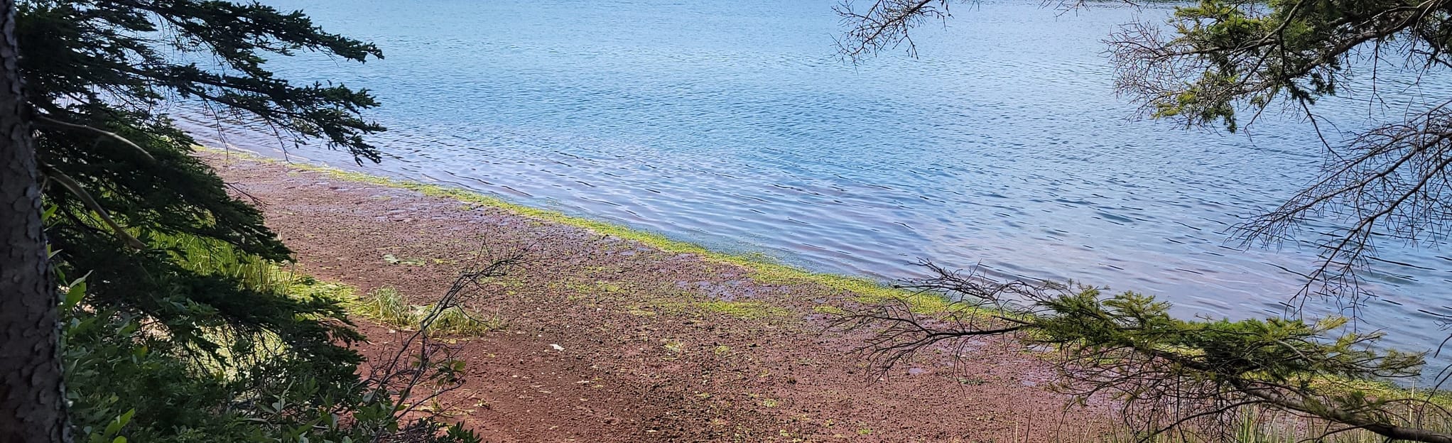 Cardigan River Trail 86 Reviews, Map Prince Edward Island, Canada