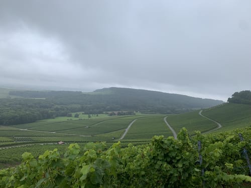 Z7 Panoramatour Heuchelberg