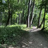 Casavant Nature Trail, Vermont - 111 Reviews, Map | AllTrails