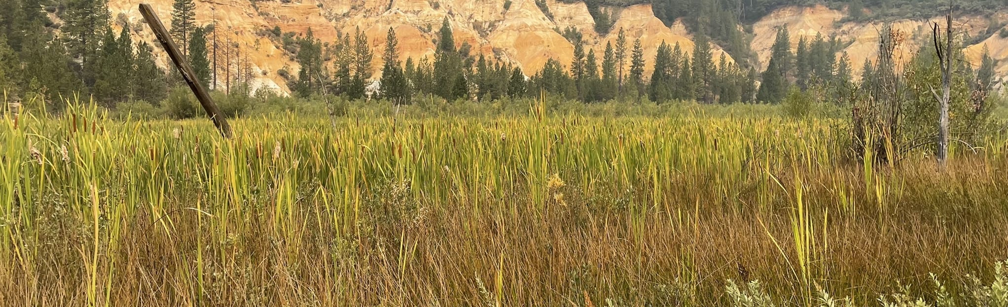 Diggins Loop Trail Map, Guide California AllTrails