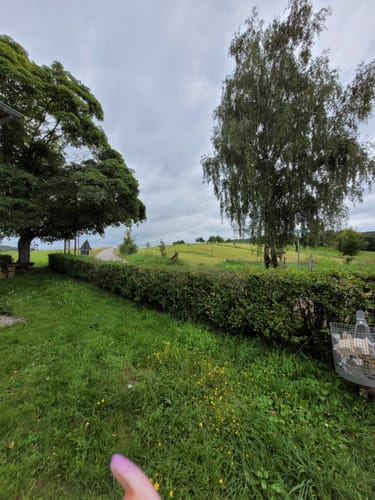 Litermont Sagenweg (Traumschleife)