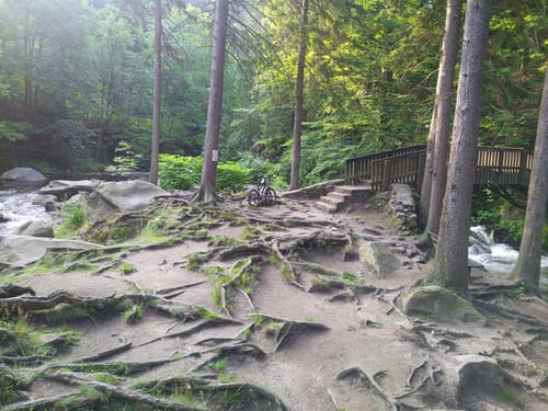 Okertal und  Feigenbaumklippe