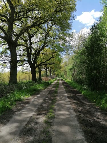 Über die Holmer Sandberge und entlang dem Feuerlöschteich