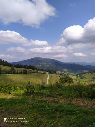 Kälbelescheuer-Nonnenmattweiher