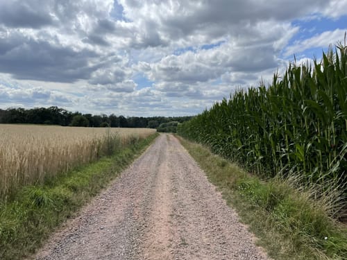 Radrundweg Dreieich
