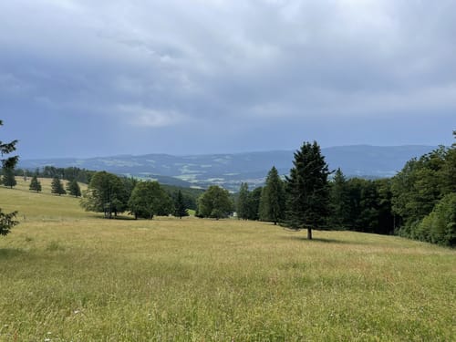 Kandel-Tour (Josef-Seger-Weg)