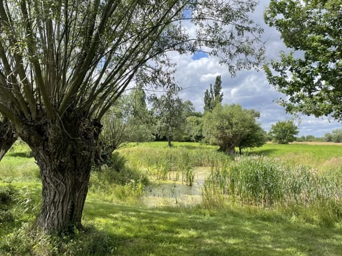 Um den Raßnitzer See