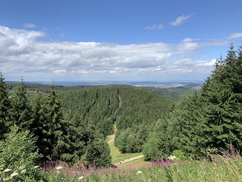 Aus dem Spiegeltal zum Bocksberg
